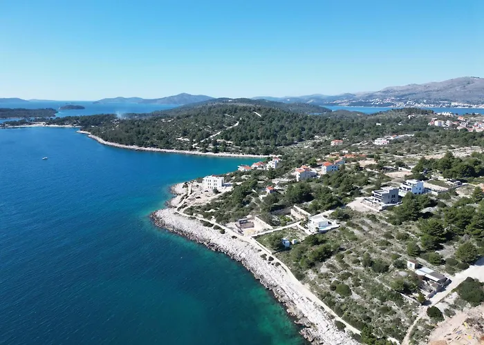 Olive Trogir
